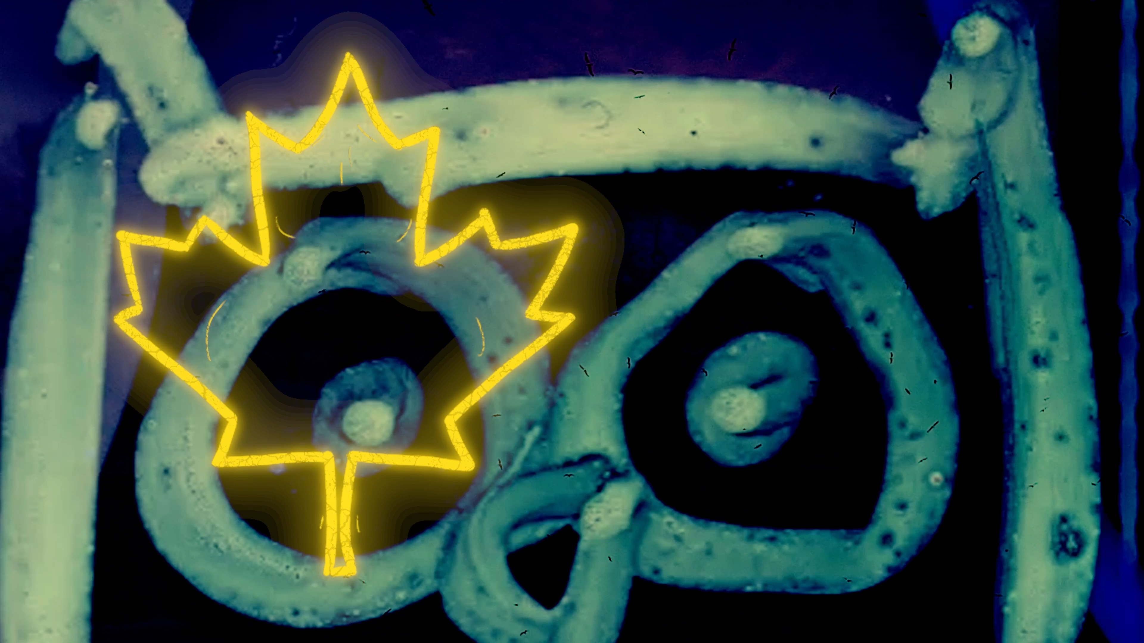 Thank you to @ottawa.animationfestival for another amazing festival, and to all the incredible sponsors who help support this amazing animation community. @telefilm_canada @ottawatourism @ontariocreates @bytownecinema @natgallerycan @asifahollywood @ottawa.200 @kocca_canada and many more! 

A huge thank you as well to the talented animators we had the pleasure of working with to create the 19th Sponsor Reel for the Festival. It’s always such a fun project to be part of, and we’re grateful to everyone who helped bring it to life!